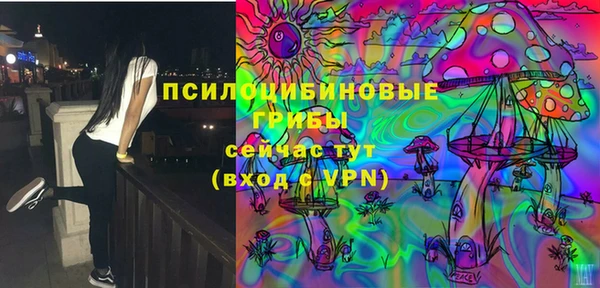 прущие крисы Гусев