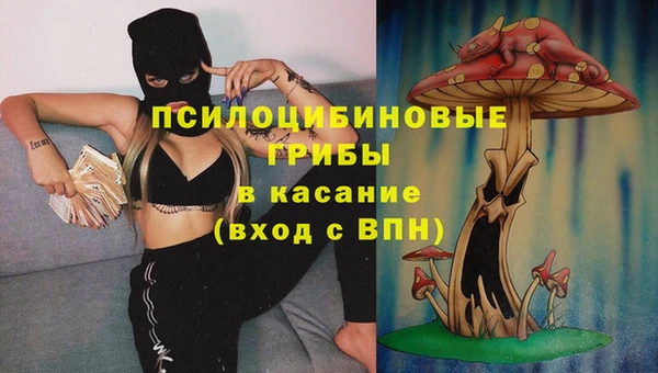 ешки Гусиноозёрск