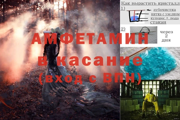 прущие крисы Гусев