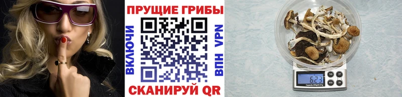 Купить  Харабали  Галлюциногенные грибы прущие грибы 