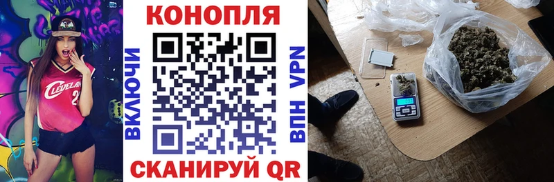 Бошки Шишки сатива  Купить  Харабали 